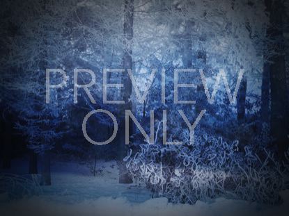 WINTER STORY 4 STILL