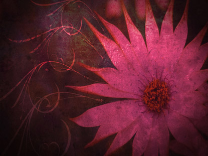 MOTHER'S DAY STILL 1