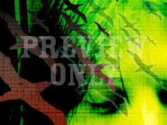 MORE NEXTGEN 05