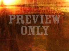 MORE NEXTGEN 10