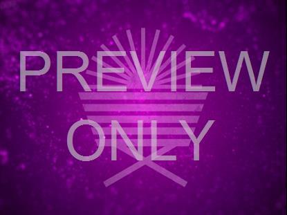 SPARKLE CHRISTMAS MANGER