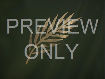 EASTER UPSIDE DOWN: PALM BRANCH STILL 