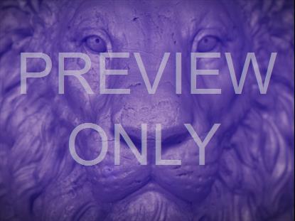 LAST WORDS OF CHRIST: LION