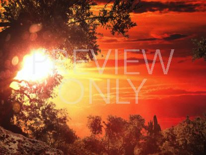 OUR RISEN SAVIOR GARDEN