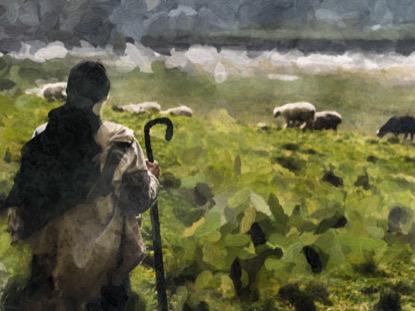 THE CHRISTMAS DILEMMA SHEPHERD