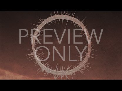 WHO DO YOU SAY I AM: THORNS STILL