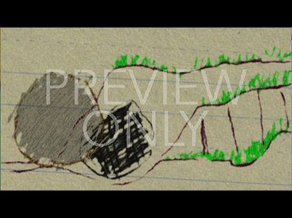 A VERY SPECIAL SUNDAY 3