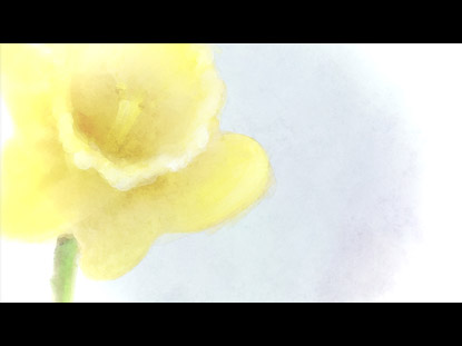 MATERNAL ETERNAL STILL 2