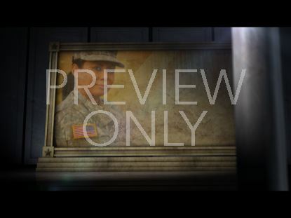 VETERANS DAY STILL 1