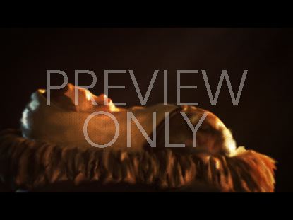 WHY WE CELEBRATE CHRISTMAS 1