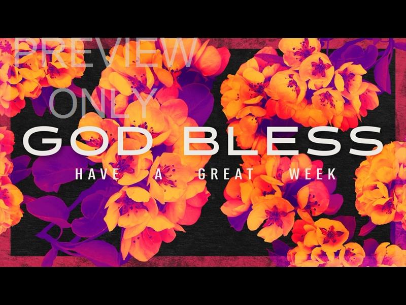 BOLD BLOOMS GOD BLESS STILL