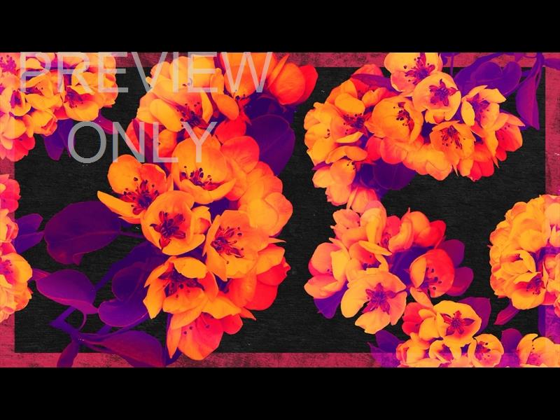 BOLD BLOOMS STILL 03