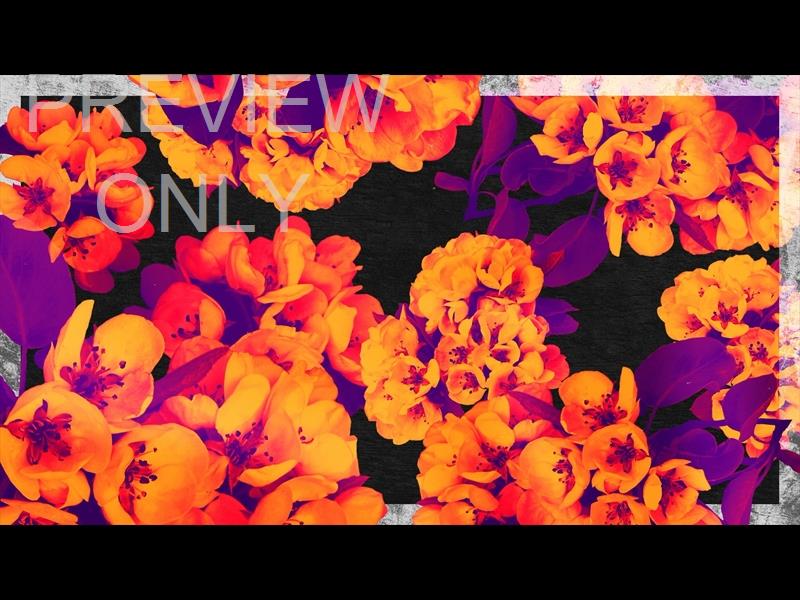 BOLD BLOOMS STILL 04