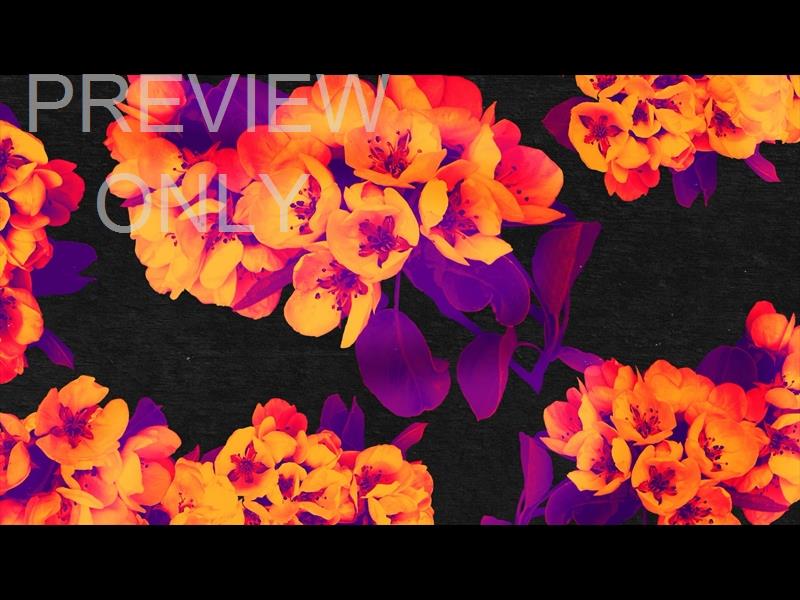 BOLD BLOOMS STILL 05