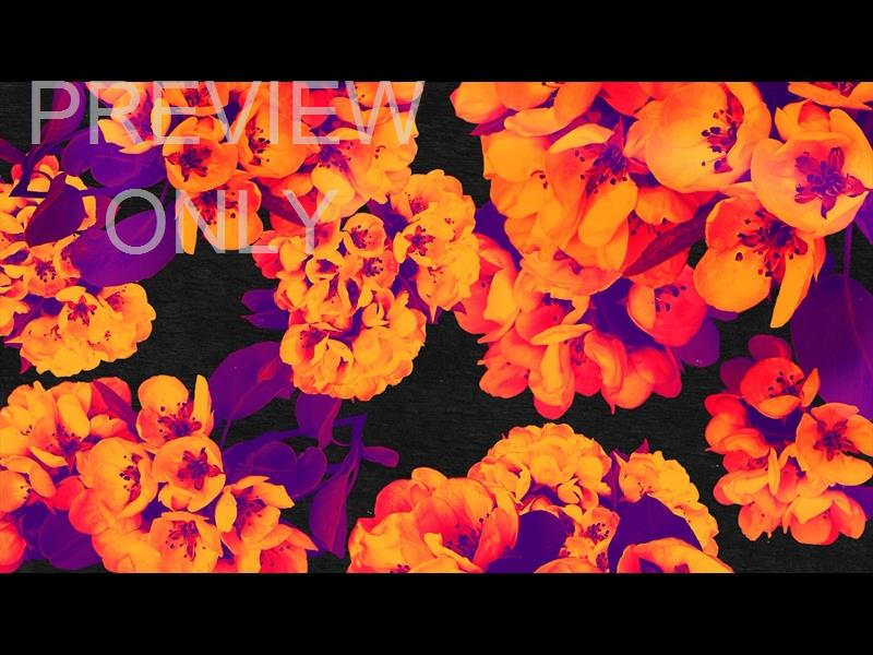 BOLD BLOOMS STILL 06