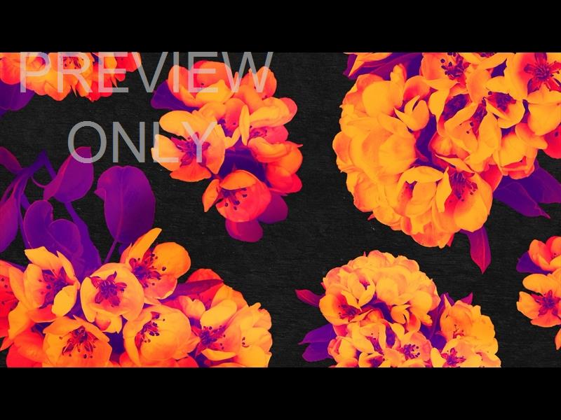 BOLD BLOOMS STILL 07