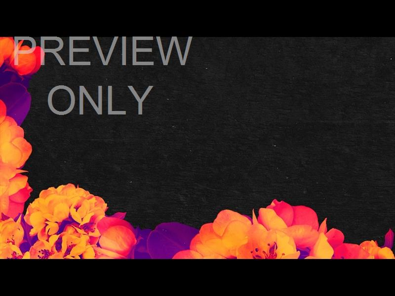 BOLD BLOOMS STILL 08