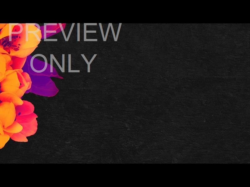 BOLD BLOOMS STILL 09