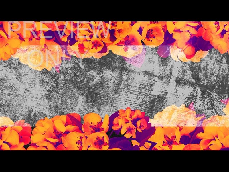 BOLD BLOOMS STILL 10