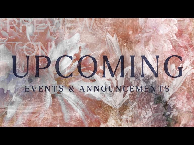 BOUQUET UPCOMING STILL