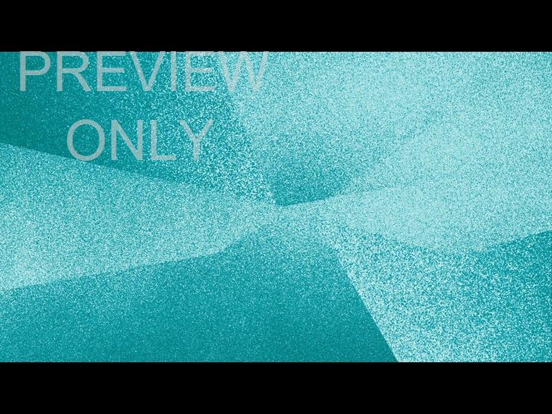 DECLARE: LOOP 04 STILL