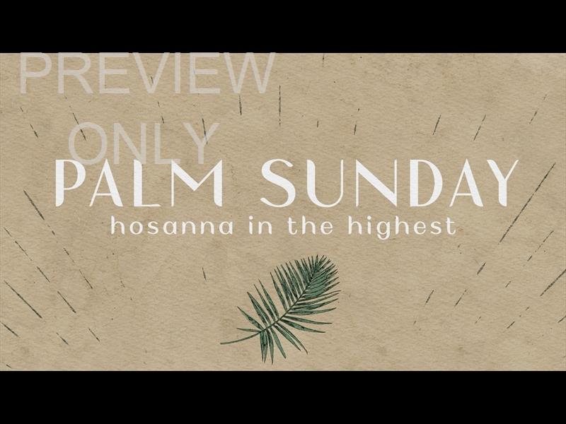 DRAWN TO HIM PALM SUNDAY STILL