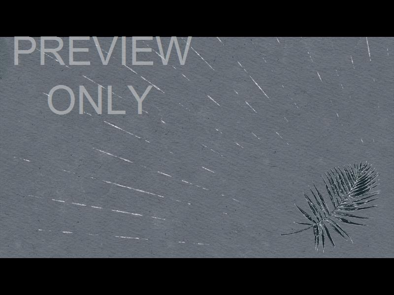 DRAWN TO HIM STILL 12