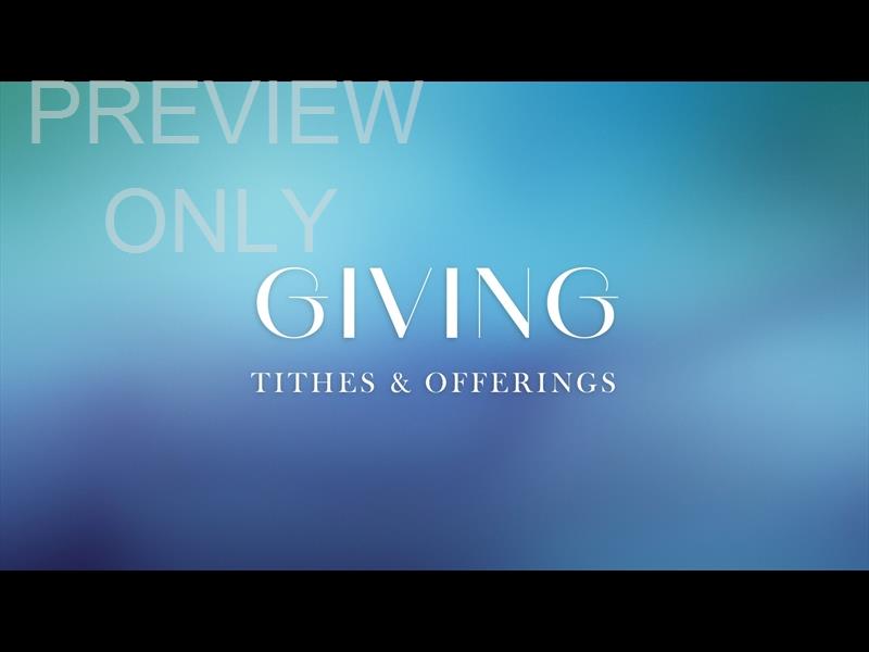 EARLY LIGHT GIVING STILL