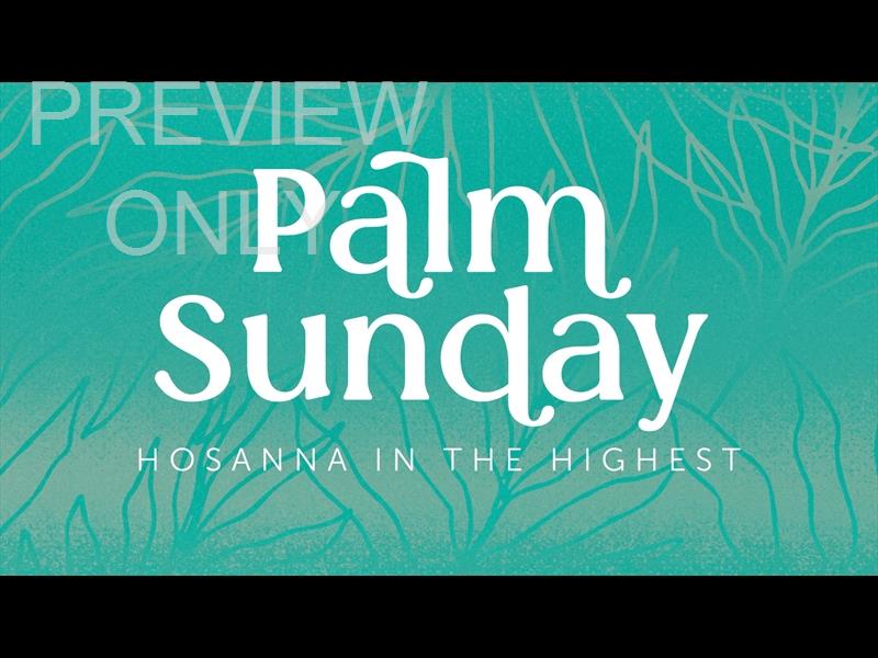 EASTER RISE PALM SUNDAY STILL