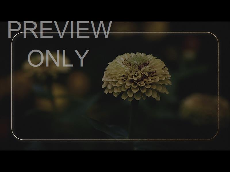 EBONY FLORAL: STILL 01