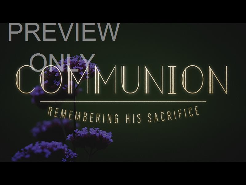 EBONY FLORAL: STILL COMMUNION