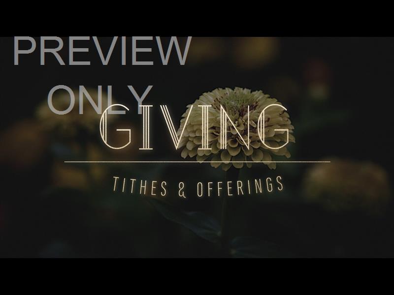 EBONY FLORAL: STILL GIVING