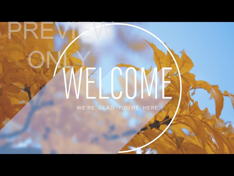 FALL SHADOW STILL WELCOME