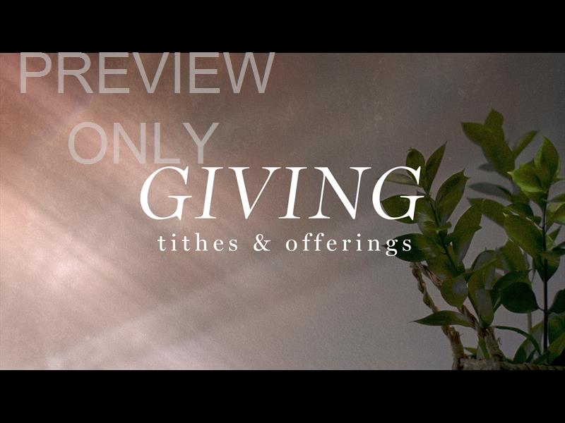 FLOURISH GIVING STILL