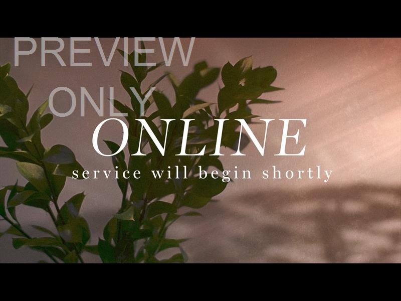 FLOURISH ONLINE STILL