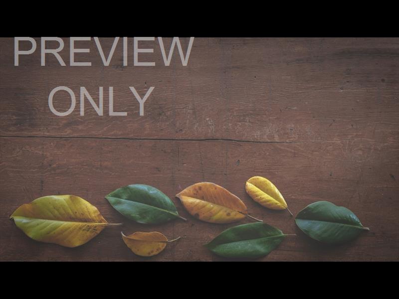 GIVING TABLE STILL 02