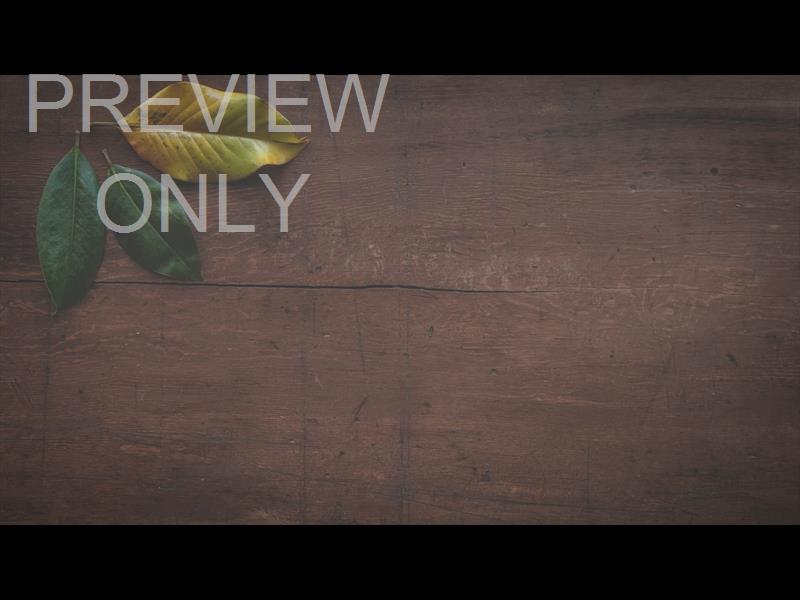 GIVING TABLE STILL 03