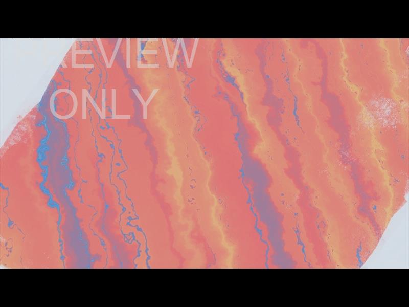 GRATEFUL EASTER STILL 02