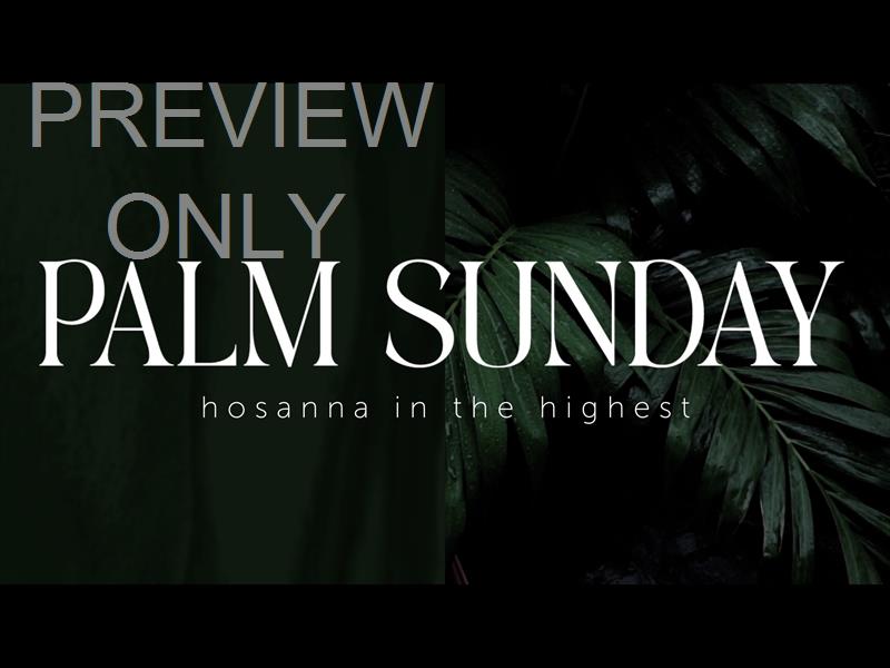GROVE PALM SUNDAY STILL