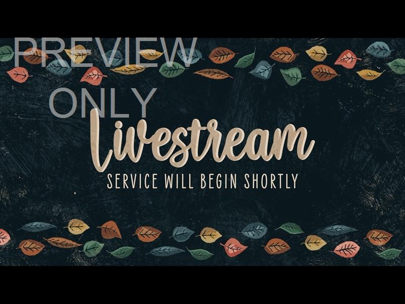 HAPPY LEAVES LIVESTREAM STILL