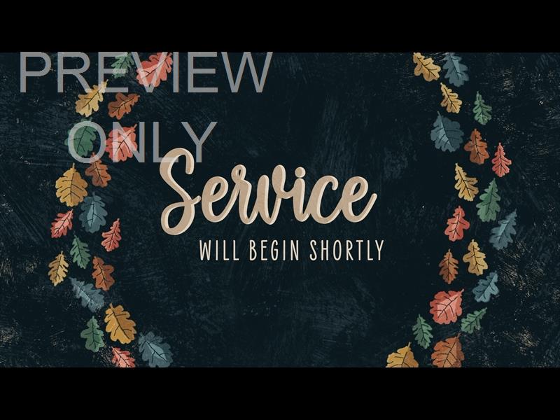 HAPPY LEAVES SERVICE STILL