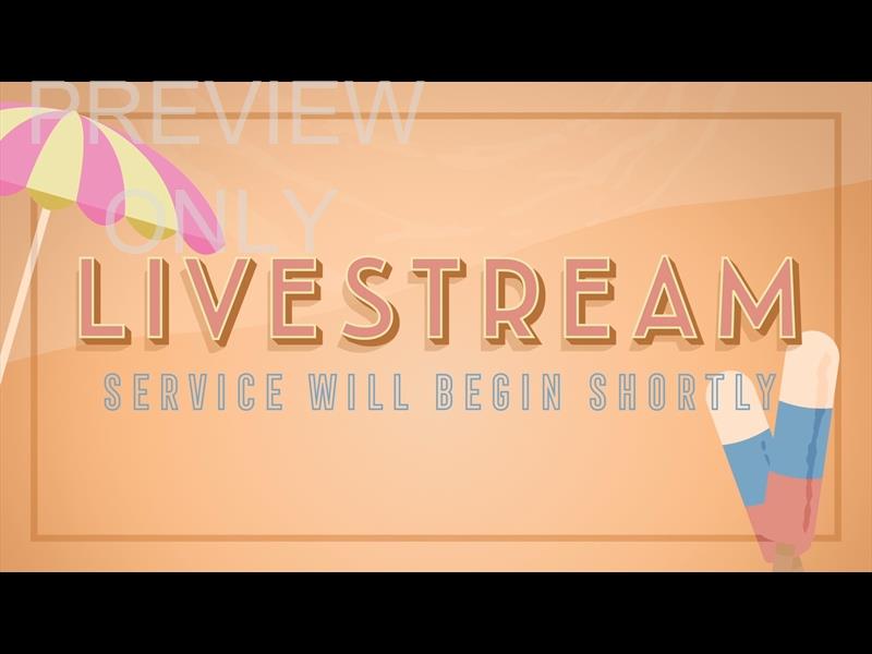 HELLO SUMMER STILL LIVESTREAM