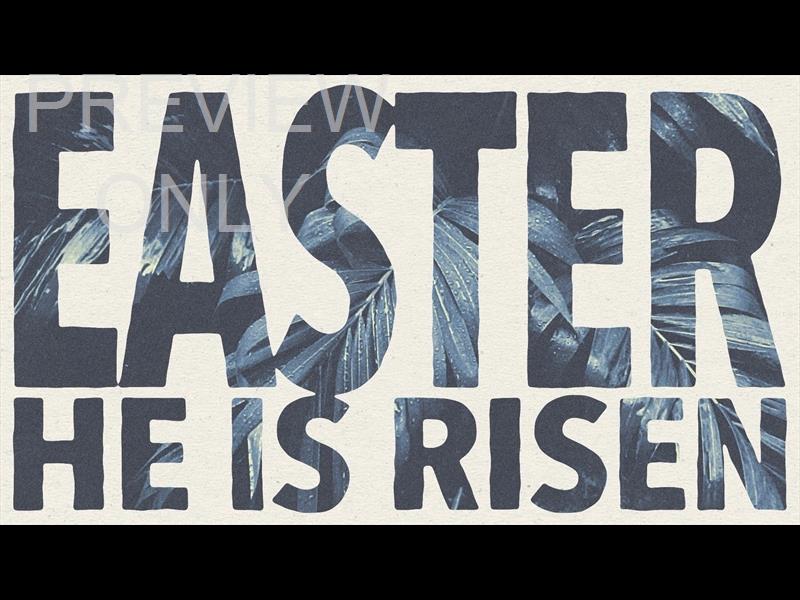 HOSANNA EASTER STILL