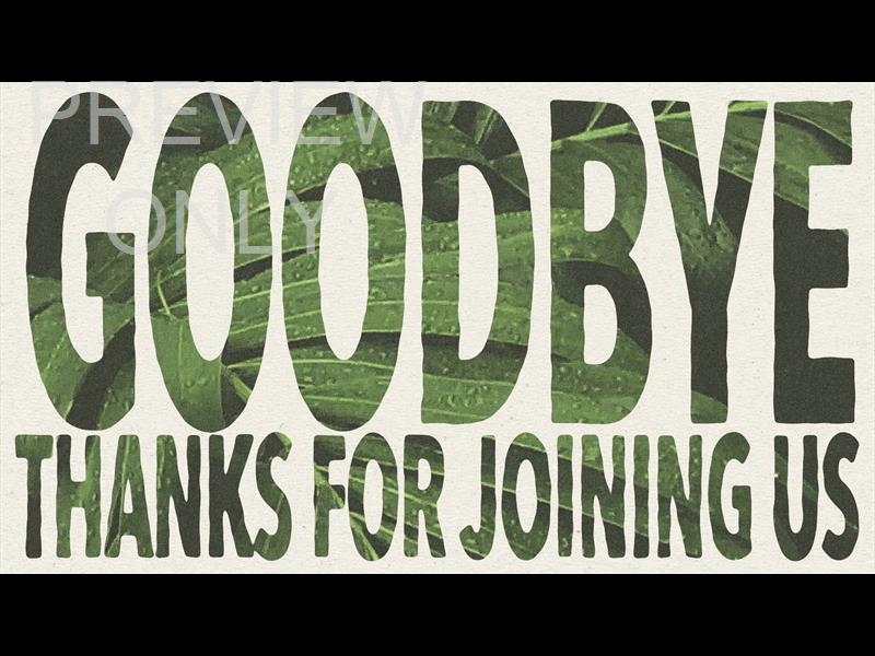 HOSANNA GOODBYE STILL