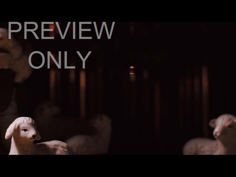 IN A MANGER STILL 03