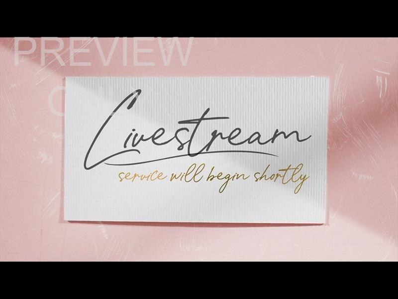 LOVE IS LIVESTREAM STILL