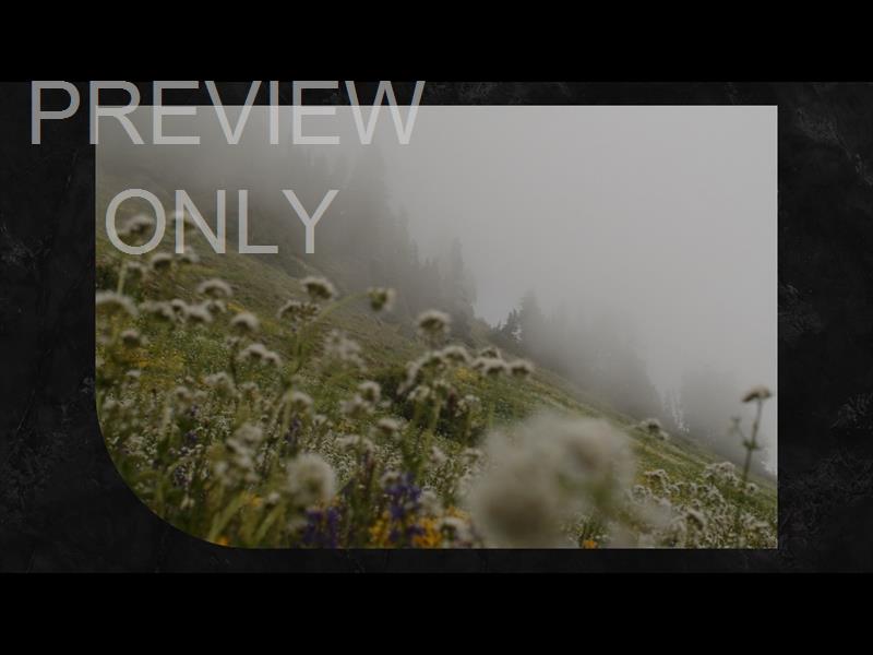 MOUNTAINSIDE STILL 01