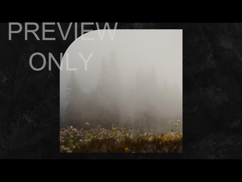 MOUNTAINSIDE STILL 02