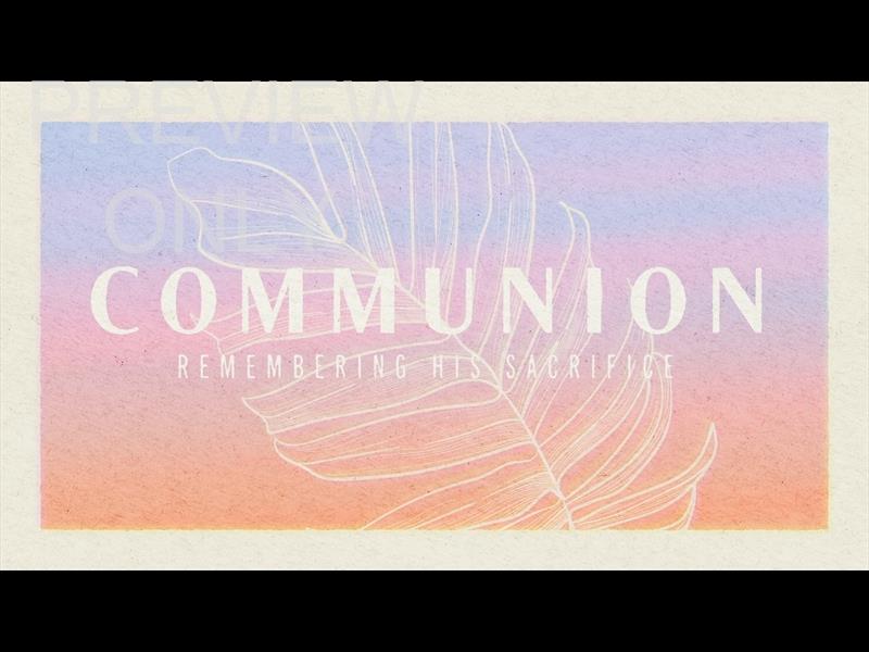 PAPER PALM COMMUNION STILL