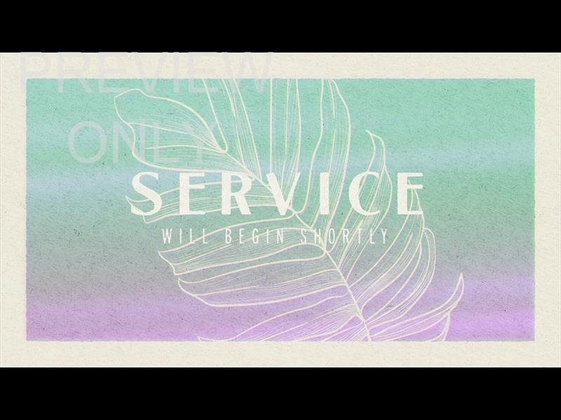 PAPER PALM SERVICE STILL